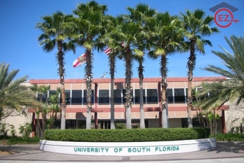 Học bổng hot từ University of South Florida (USF), Mỹ